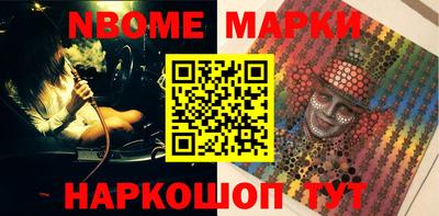 крисы Кингисепп