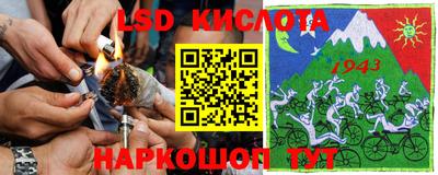 ALPHA PVP Камышлов