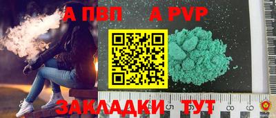крисы Кингисепп