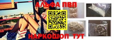 крисы Кингисепп