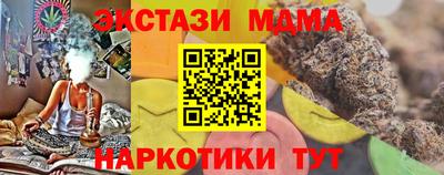 крисы Кингисепп