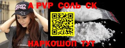 крисы Кингисепп