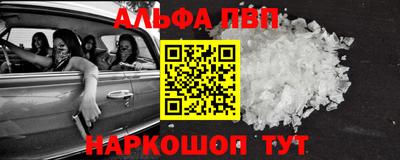 крисы Кингисепп