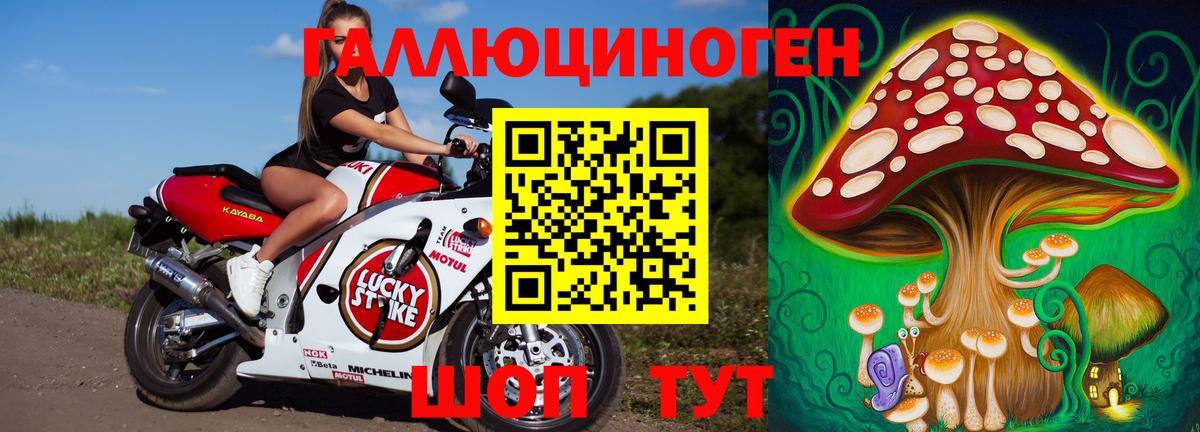 Псилоцибиновые грибы Psilocybe Кыштым